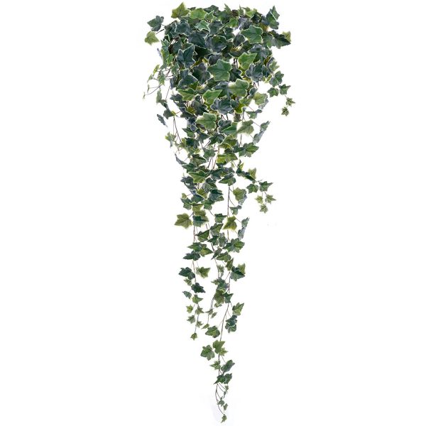 ΚΙΣΣΟΣ ΔΙΧΡΩΜΟΣ ΜΠΟΥΚΕΤΟ ΠΡΑΣΙΝΟ x 303 ΦΥΛΛΑ 130cm