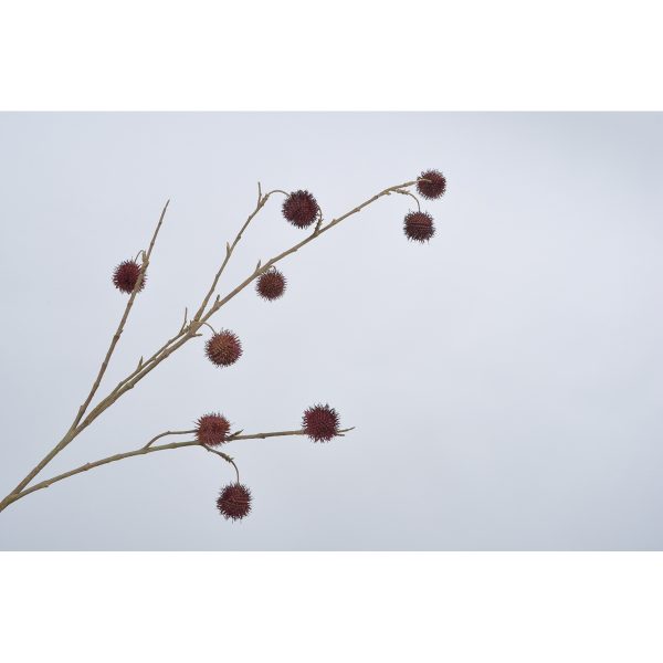 ΚΛΑΔΙ ΚΑΣΤΑΝΟ ΚΟΚΚΙΝΟ ΧΩΡΙΣ ΦΥΛΛΑ BURGUND 99cm