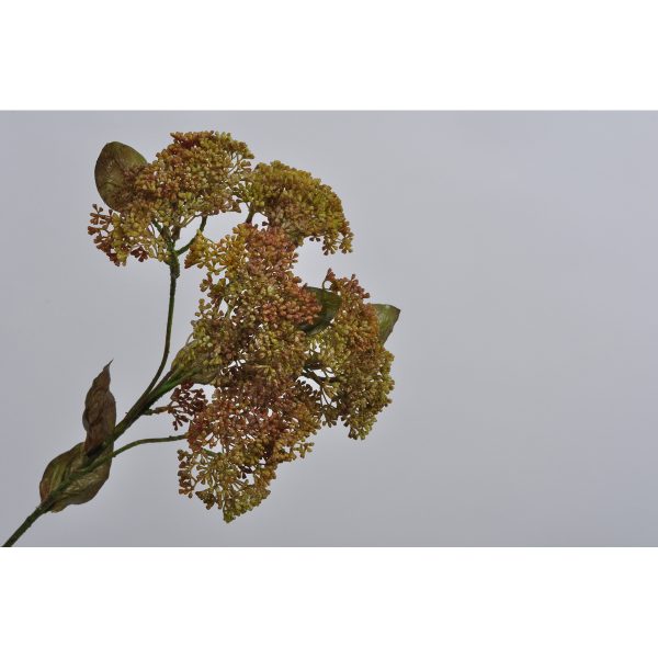 ΚΛΑΔΙ VARIA DILL ΠΡΑΣ/ΚΑΦΕ 58cm