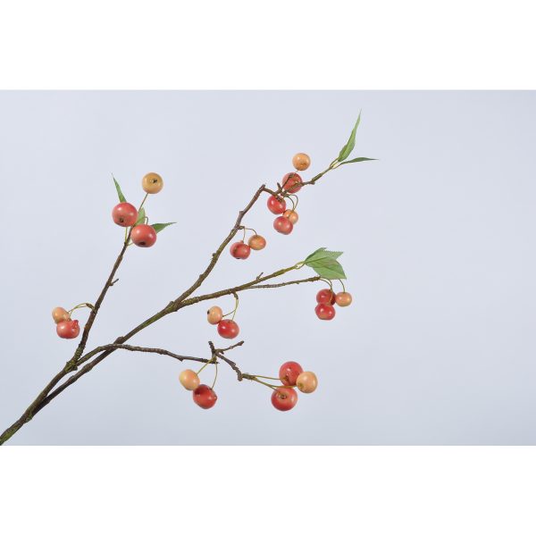 ΚΛΑΔΙ ΡΟΖΕ ΜΗΛΑΡΑΚΙΑ 92cm