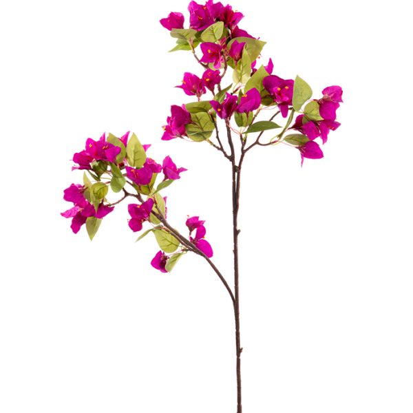 ΜΠΟΥΚΑΜΒΙΛΙΑ ΜΩΒ Χ3 ΚΛΑΔΙΑ 90cm ΥΨΟΣ