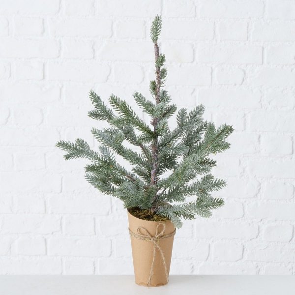 ΔΕΝΤΡΟ ΧΡΙΣΤΟΥΓ Thorus, H58cm