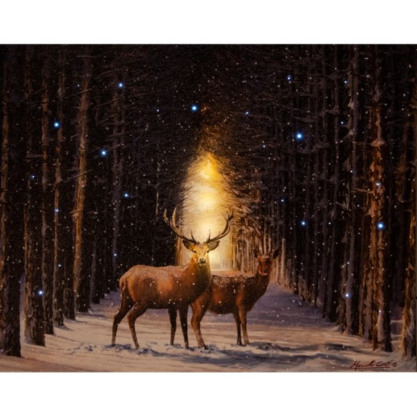 ΠΙΝΑΚΑΣ  1LED+42 FIBER ΤΑΡΑΝΔΟΙ  INDOOR CANVAS 38X48CM - 2ΧAA B.O.