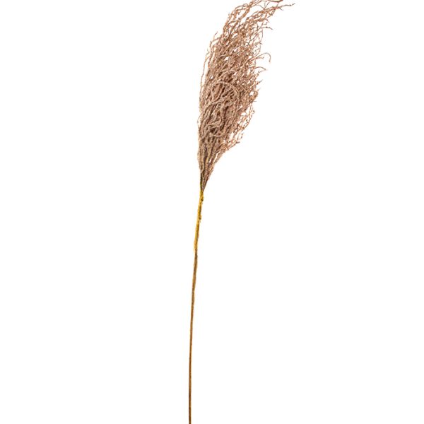 ΣΑΛΙΚΟΡΝΙΑ ΚΛΑΔΙ ΚΑΦΕ 125cm