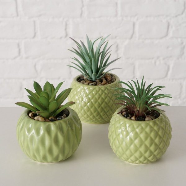 ΚΑΚΤΟΣ 3/ass ΣΥΝΘΕΤΙΚΟ ΣΕ ΠΡΑΣΙΝΟ ΠΕΤΡΙΝΟ ΚΑΣΠΩ Maluha 7Χ7Χ11cm