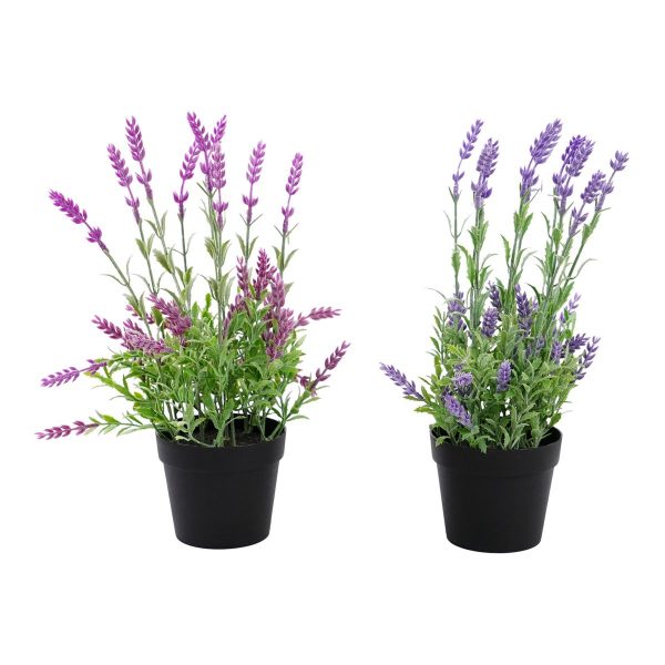 ΛΕΒΑΝΤΑ ΦΥΤΟ ΜΠΟΡΝΤΩ / ΜΩΒ 33cm ΣΥΝΘΕΤΙΚΟ