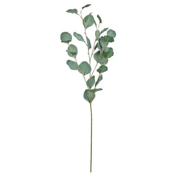 ΕΥΚΑΛΥΠΤΟΣ ΚΛΑΔΙ ΜΕΓΑΛΟ ΦΥΛΛΟ ΠΡΑΣΙΝΟ/ΜΠΛΕ 90cm