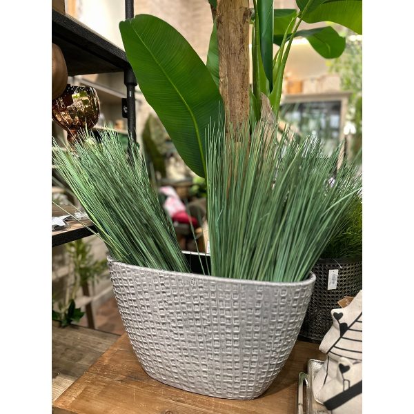 ΓΡΑΣΙΔΙ CIUFFO ΠΡΑΣΙΝΟ 60cm