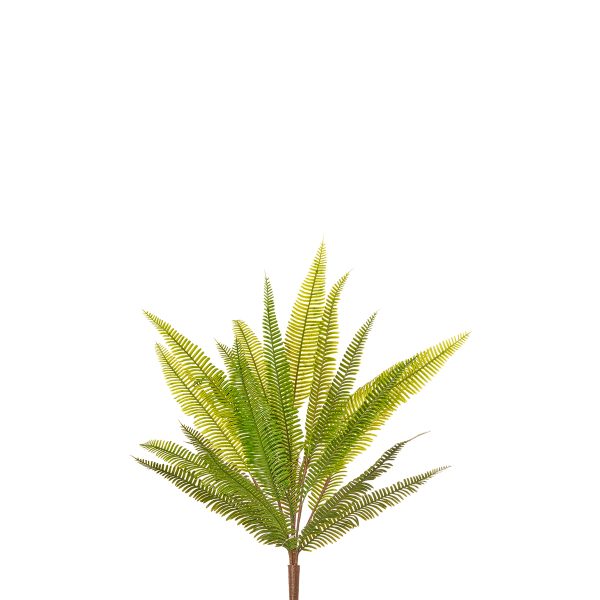 ΦΤΕΡΗ ΜΠΟΥΚΕΤΟ  Χ22  40cm