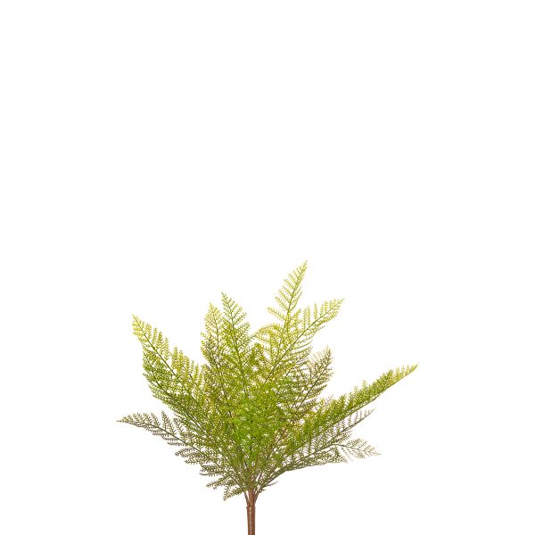 ΦΤΕΡΗ ΔΑΣΟΥΣ ΜΠΟΥΚΕΤΟ  Χ21 40cm