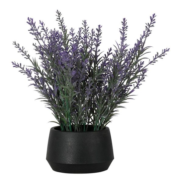 ΛΕΒΑΝΤΑ ΜΕ ΜΑΥΡΗ ΓΛΑΣΤΡΑ D12cm H28cm  ΣΥΝΘΕΤΙΚΟ