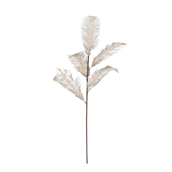 ΚΛΑΔΙ ΠΟΥΠΟΥΛΟ ΣΑΜΠΑΝΙ - L125 W30cm feather