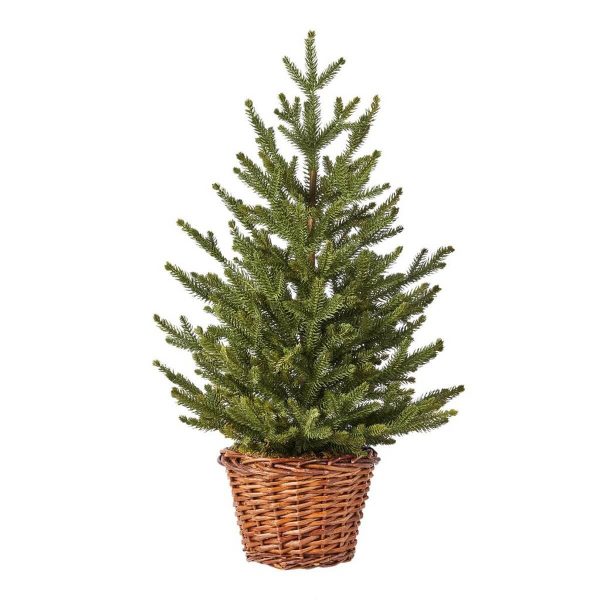 ΔΕΝΤΡΟ ΕΛΑΤΟ ΣΕ ΚΑΛΑΘΙ 65 CM
