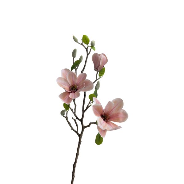 ΜΑΝΟΛΙΑ ΚΛΑΔΙ ΡΟΔΑΚΙΝΙ 75cm