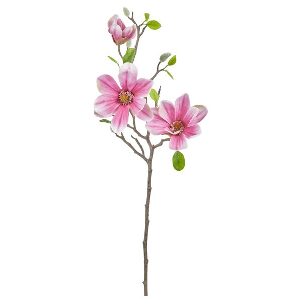 ΜΑΝΟΛΙΑ ΚΛΑΔΙ ΣΚΟΥΡΟ ΡΟΖ 75cm