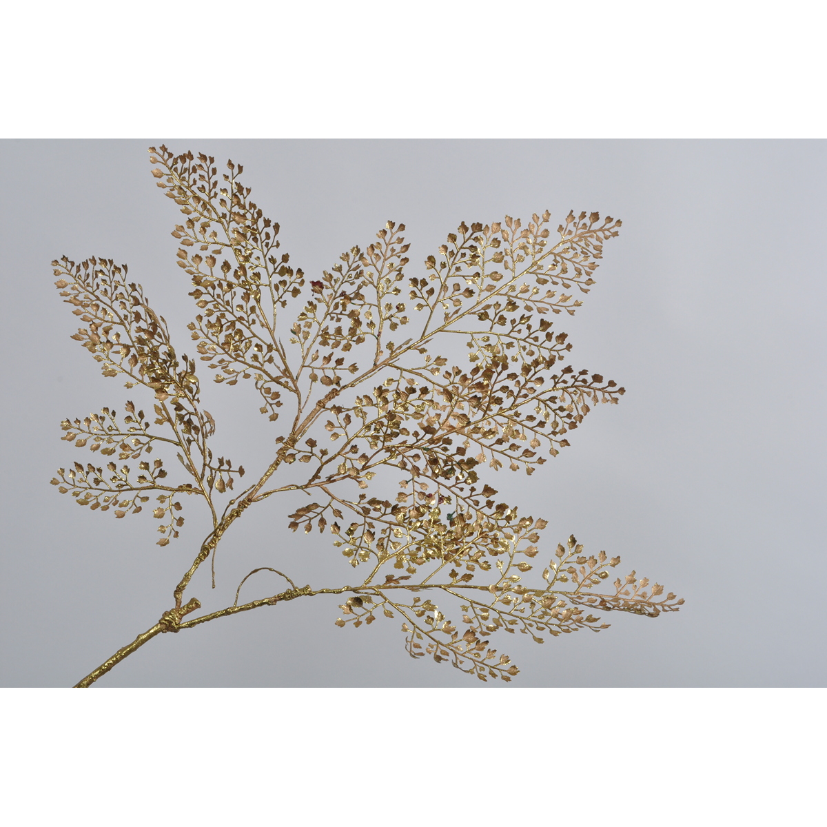 ΦΥΛΛΑ ΦΤΕΡΗΣ GOLD 79cm