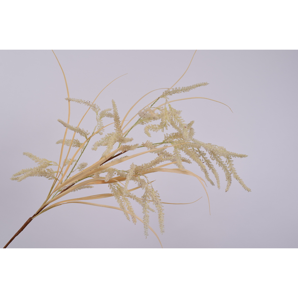 ΚΛΑΔΙ ΔΙΑΚΟΣΜΗΤΙΚΟ GRASS PLUME CREAM