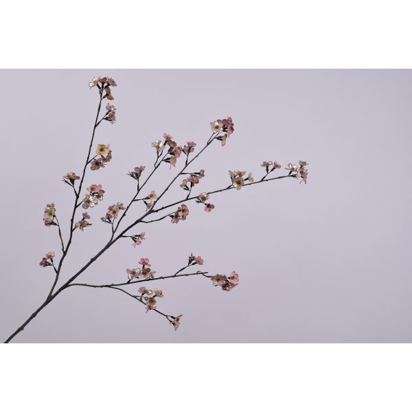 ΚΛΑΔΙ ΑΝΘΙΣΜΕΝΟ ΡΟΖ/PINK
