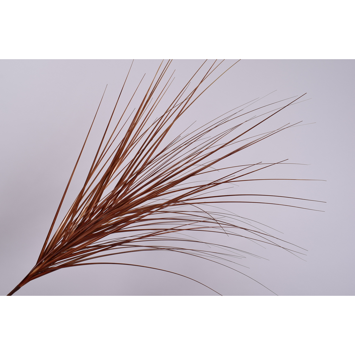 ΚΛΑΔΙ GRASS ΚΟΚΚΙΝΟ/ΠΟΡΤΟΚΑΛΙ 162cm