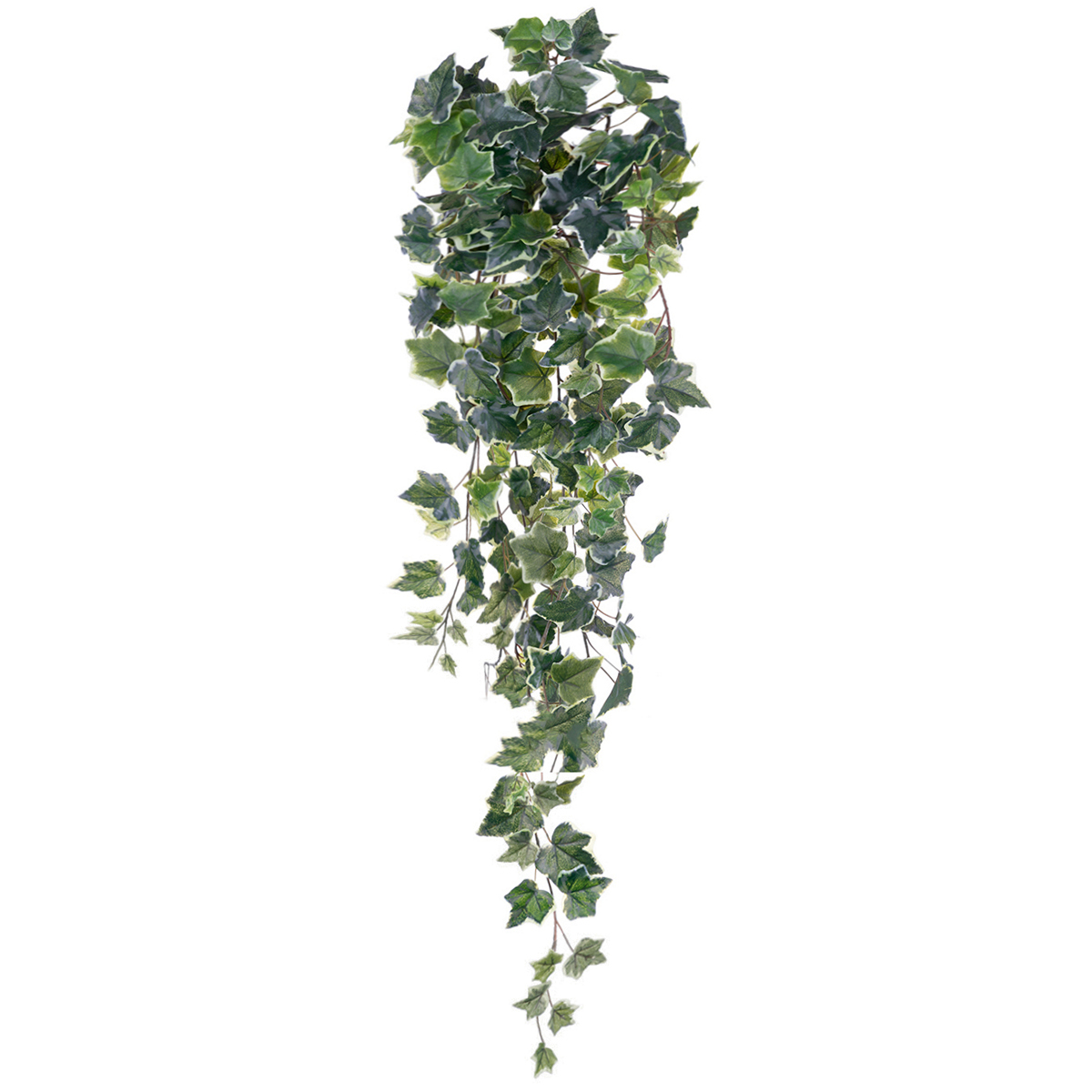 ΚΙΣΣΟΣ ΔΙΧΡΩΜΟΣ ΜΠΟΥΚΕΤΟ ΠΡΑΣΙΝΟ X 244 ΦΥΛΛΑ 96 CM