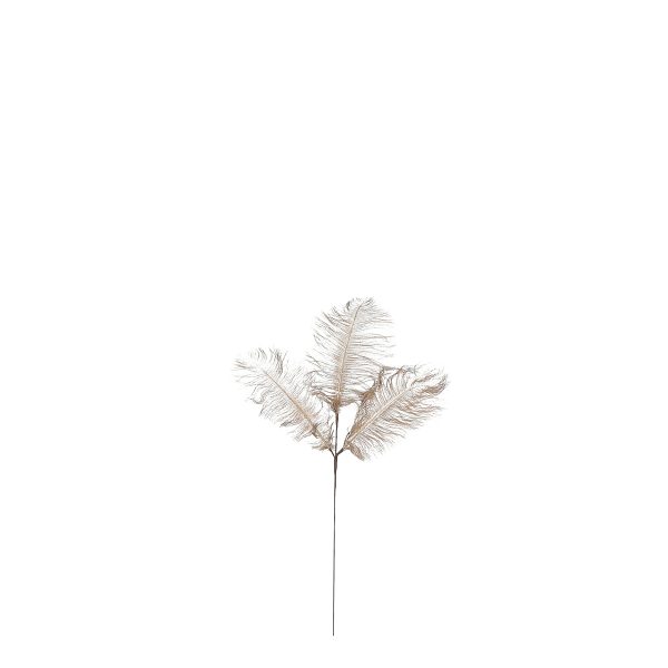 ΚΛΑΔΙ ΠΟΥΠΟΥΛΟ ΣΑΜΠΑΝΙ - L61 W20cm feather