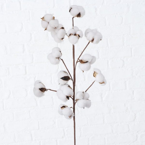 ΒΑΜΒΑΚΙ ΚΛΑΔΙ Baumwolle, Cotton