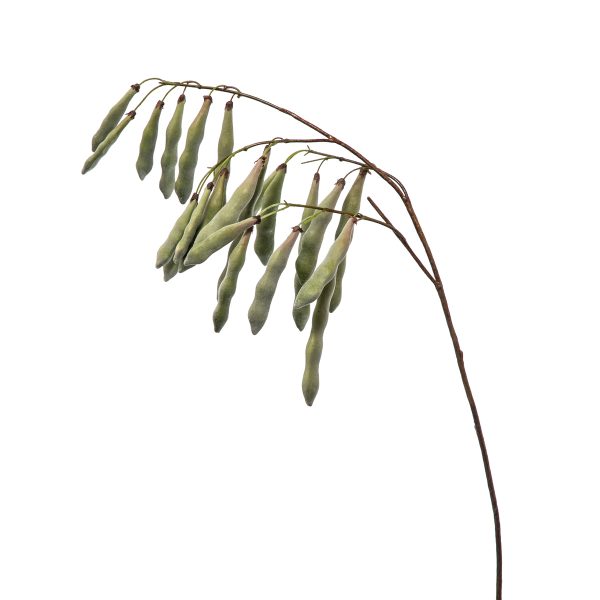 ΚΟΥΚΙΑ ΚΛΑΔΙ Η125cm