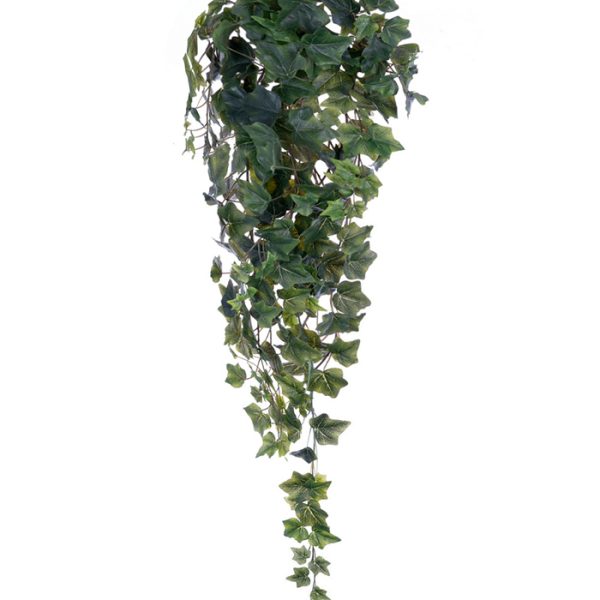 ΚΙΣΣΟΣ ΜΠΟΥΚΕΤΟ ΠΡΑΣΙΝΟ  X 244 ΦΥΛΛΑ  96CM
