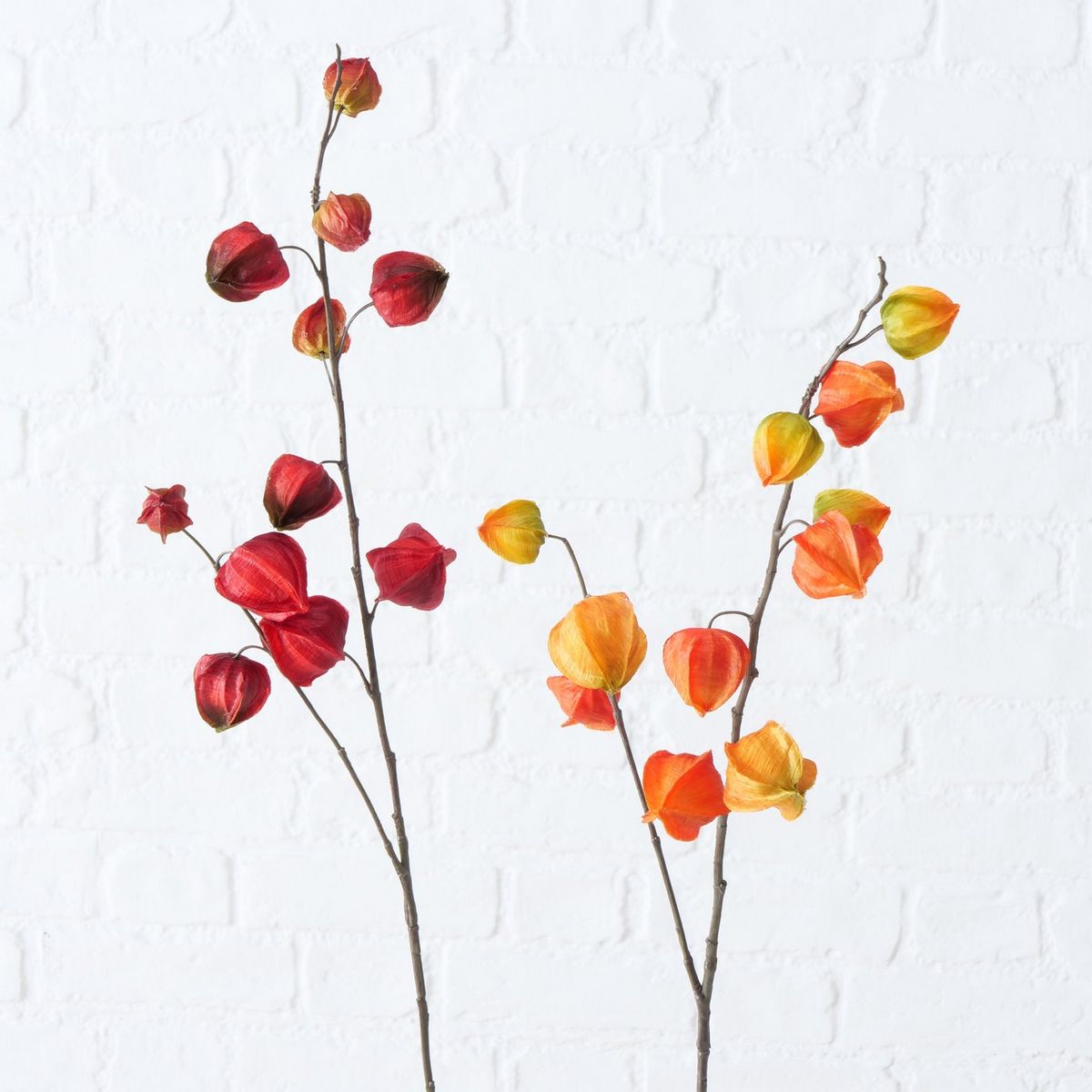 ΚΛΑΔΙ Physalis 2/ASS H 90 cm ΦΑΝΑΡΑΚΙ ΚΟΚΚΙΝΟ-ΠΟΡΤΟΚΑΛΙ-ΚΙΤΡΙΝΟ