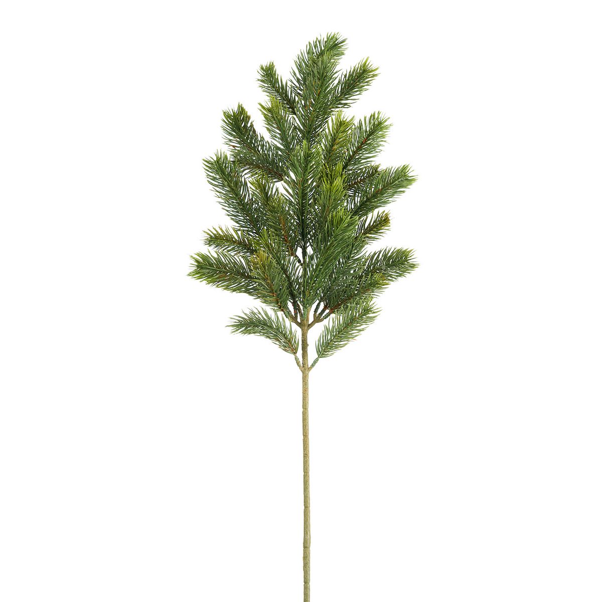 ΚΛΑΔΙ ΠΡΑΣΙΝΟ ΠΕΥΚΟ 65 cm